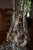 Pair of grand 12 arm candelabras ordered from Charles Christofle, Paris, for a family wedding as part of a royal table...