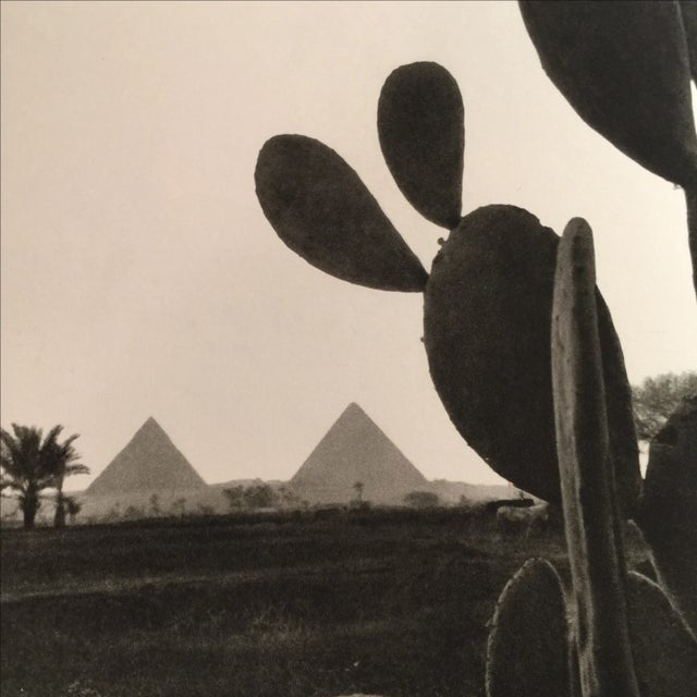 The Thrones of Earth and Heaven 1958 First Edition For Sale - Image 11 of 11