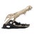 Freddy Croc Sculpture- Small For Sale In Chicago - Image 6 of 11