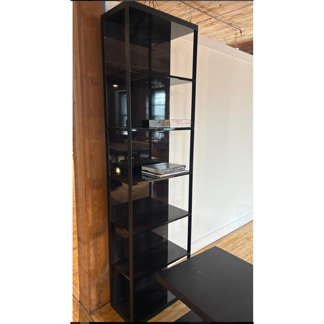 Stunning Christian Liaigre “Editeur” Shelf, 2010s For Sale - Image 9 of 9