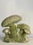 Great, but very heavy, Vintage Concrete Mushroom Sculpture for indoors and/ or outdoors! Comes with its own "moss patina"...