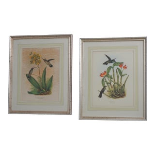 1980s Chelsea House Pair of Flower & Bird Engraving Prints For Sale