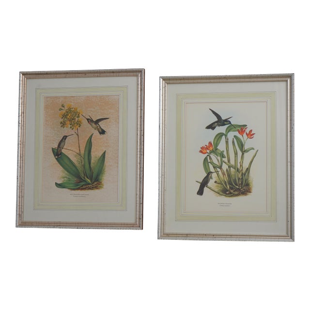 1980s Chelsea House Pair of Flower & Bird Engraving Prints For Sale