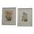 1980s Chelsea House Pair of Flower & Bird Engraving Prints For Sale