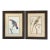 Vintage Red Lory & Green Pieter Parrot Art Prints in Matching Frames – A Pair For Sale