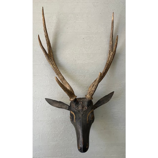 19th Century Antique 19th Century Folk Art Carved Wood Black Forest Baroque Deer Head & Antlers Wall Trophy For Sale - Image 5 of 12