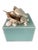 Tiffany Blue Keepsake Box-Mother-of-Pearl Nautilus, Shells & Coral For Sale - Image 4 of 6