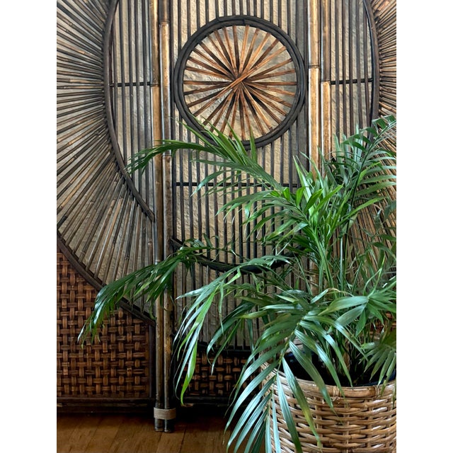 Mid-Century Modern Mid 20th Century Bamboo Wicker Sunburst Folding Room Divider Screen, 3 Panel For Sale - Image 3 of 10