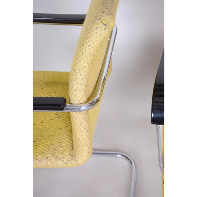 Bauhaus Set of Bauhaus Armchairs in Beech & Chrome, 1930s For Sale - Image 3 of 12