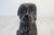 Brown Vintage Folk Art Carved Iron Wood Dog Sculpture For Sale - Image 8 of 10