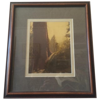 Vintage Native American Photo For Sale