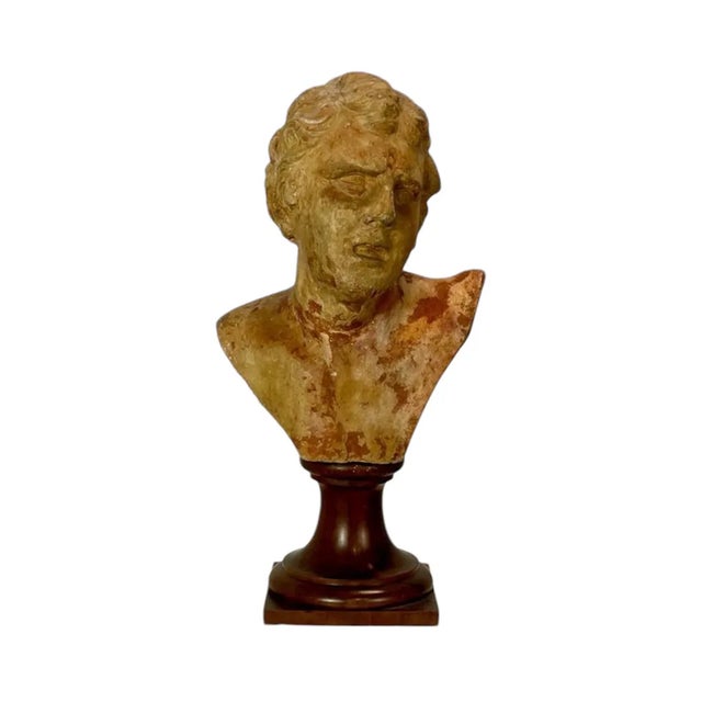 Wood Classic Male Bust, 1890s-1910s, Terracotta For Sale - Image 7 of 7