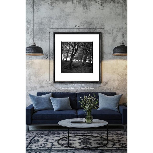 Fine art Giclee prints on Hahnemuhle Photo Rag 308gsm - a 100% cotton, acid-free, mould-made paper. Printed to Fine Art...
