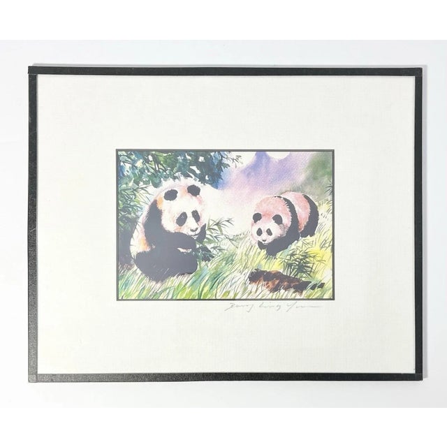 Dong Liang Yuan Set of 4 Framed & Matted Small Signed “Panda” Prints For Sale - Image 9 of 16
