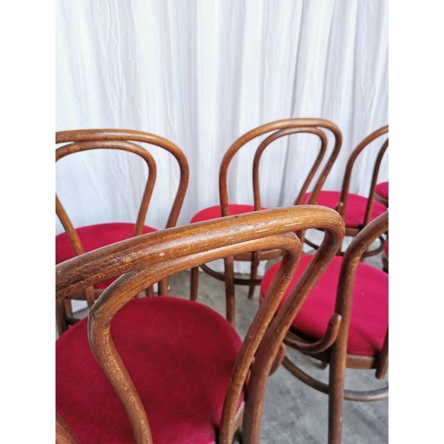 Vintage Bentwood Bistro Chairs, 1970s, Set of 8 For Sale - Image 4 of 18