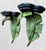Sculpture Materials Vintage Handpainted Palm Beach Regency Oversized Curved Leaf Wall Brackets Shelf-a Pair For Sale - Image 7 of 9