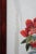 Chinese Silk Embroidered Peony Reticulated Rosewood Fire Screen Panel 31" For Sale - Image 9 of 18