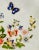 Vintage English Traditional Aynsley Butterflies Cottage Garden Platters Crudités Fine Bone China Dishes - Set of 2 For Sale In Miami - Image 6 of 13