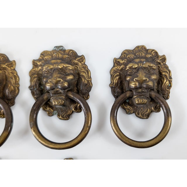 English Early 20th Century Set of 8 Lion Head Form Drawer Handle Pulls For Sale - Image 3 of 13