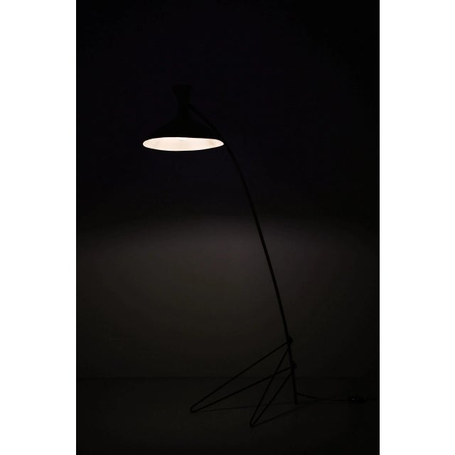 Floor Lamp by Louis Kalff for Philips, Germany For Sale - Image 11 of 12