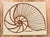 Brown Vintage Marushka Nautilus Screen Print on Stretched Linen Canvas Wall Hanging For Sale - Image 8 of 8
