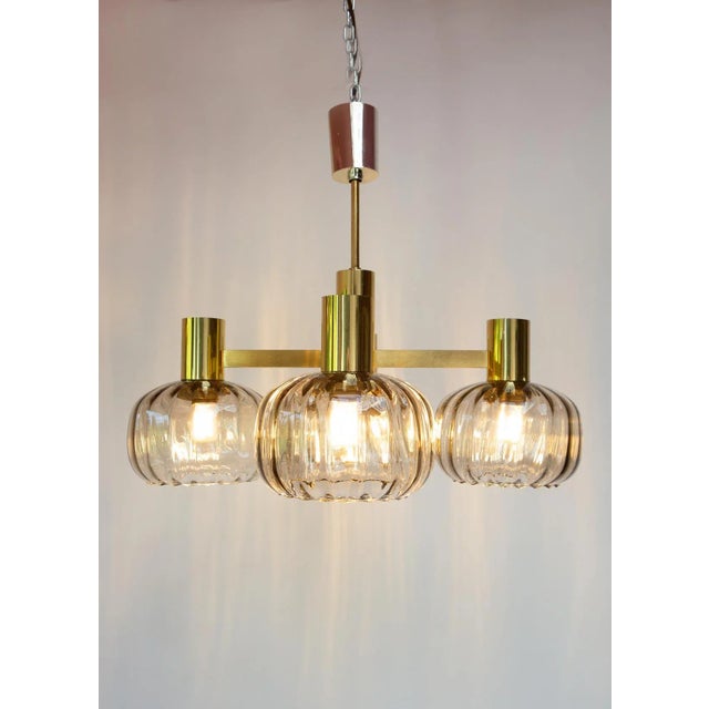 Mid-Century Modern Mid-Century Brass Pendant Light with Glass Tulips, 1960s For Sale - Image 3 of 9