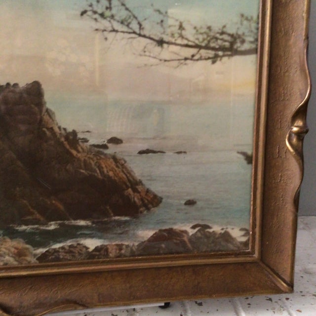 1920s Vintage 1920s Hand Colored Photograph of the Lone Cypress in Monterey, California For Sale - Image 5 of 12