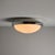 Artemide Large 1960s Sergio Mazza Glass and Metal Ceiling or Wall Lamp for Artemide For Sale - Image 4 of 15