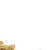 Carved Gilded Wood Element, 19th Century For Sale - Image 4 of 6