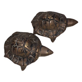 Antique Turtles in Bronze, 1900 For Sale