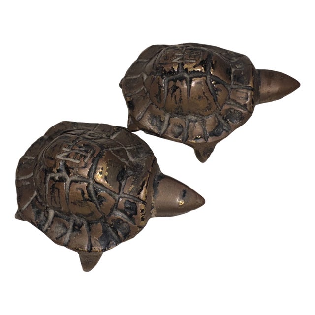 Antique Turtles in Bronze, 1900 For Sale