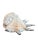Shell Monumental 13” Natural Shell, Silver Leaf Lambis Spider Conch Sculpture, Organic Coastal Objet D’Art For Sale - Image 7 of 8