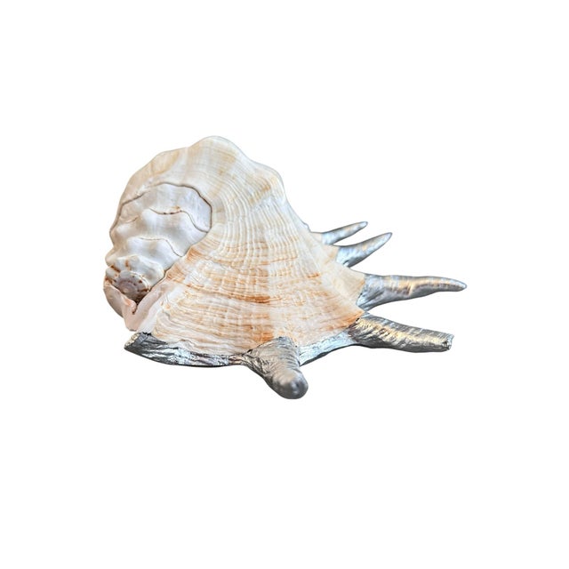 Shell Monumental 13” Silver Leaf Lambis Spider Conch Shell Sculpture, Organic Coastal Objet D’Art For Sale - Image 7 of 8