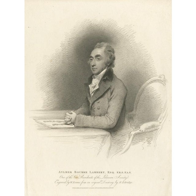 Gold After Henry Edridge, Aylmer Bourke Lambert Portrait, Stipple Engraving, 1810 For Sale - Image 8 of 8