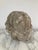 Late 19th Century Stone Statuary Head of Venus For Sale - Image 5 of 11