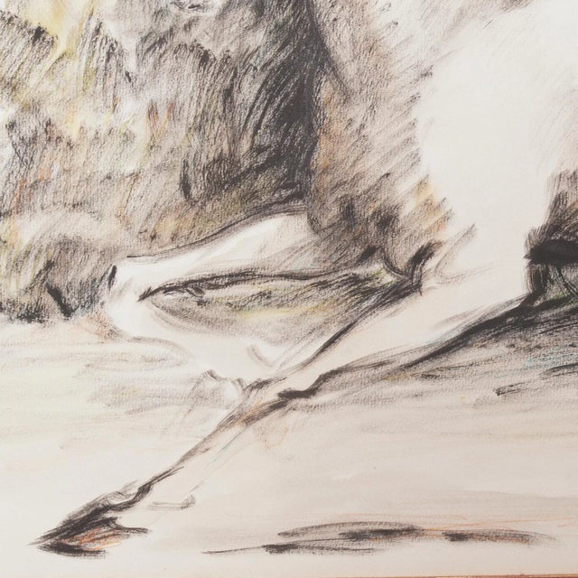 Domenico Purificazione, Horse, 1980s, Gouache For Sale - Image 5 of 9