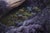 Early 21st Century Through The Night by Gigi Chen | Acrylic on Wood Panel of a purple bird with a village inside its feathers For Sale - Image 5 of 5