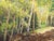 Green Jerry Greenberg "Mountain Road" Contemporary Realistic Colorado Aspen Tree Landscape Painting, 2019 For Sale - Image 8 of 10