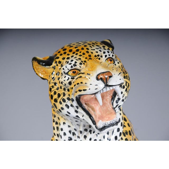 Leopard with Broken Foot For Sale - Image 10 of 18