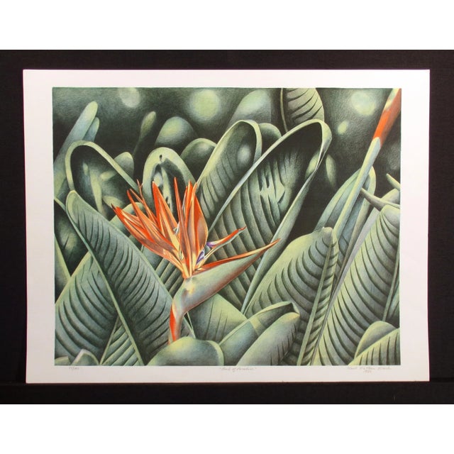 Contemporary Karl Nathan Black "Bird of Paradise" Signed Color Edition Lithograph Unframed For Sale - Image 3 of 6