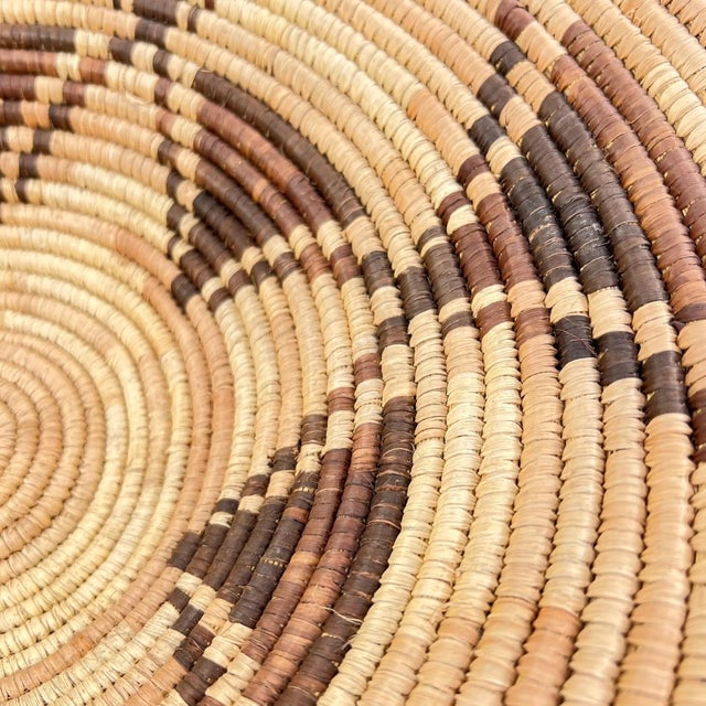 Early 20th Century Early 20th Century Botswana Basket 16inch MATTER COLLECTION For Sale - Image 5 of 7