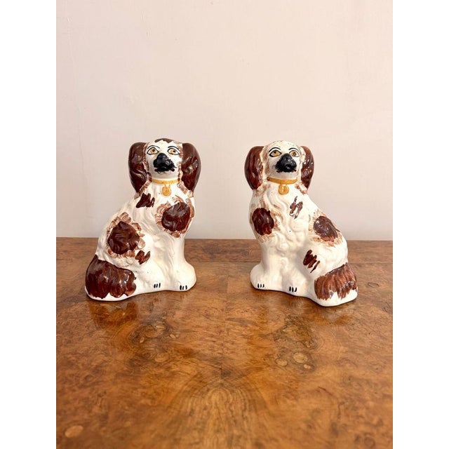 Pair of antique Staffordshire dogs, having a pair of seated spaniels with white and brown coloured coats and matching...