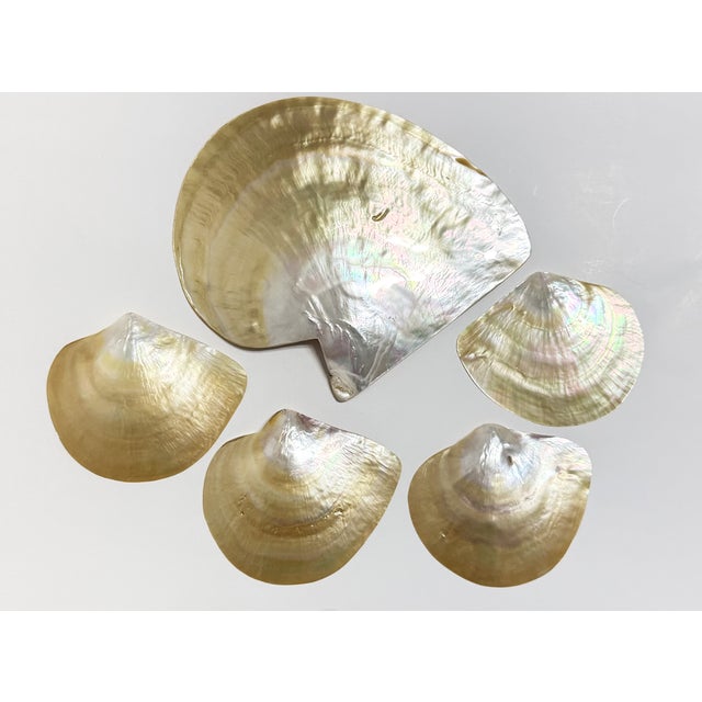 Vintage Mother of Pearl Caviar Dishes and Spoons For Sale - Image 10 of 16