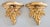Gold Vintage Italian Gilt Plaster Roses Wall Brackets Shelves - a Pair For Sale - Image 8 of 8
