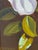 Elegance Times Three Oil Painting For Sale In Chicago - Image 6 of 7