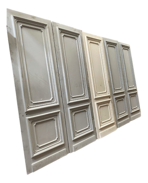 Double-Sided Molded Haussmannian Doors, 1800s, Set of 5