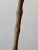 Antique Rare Hand-Carved Portrait Walking Stick With "Filipino" Script, Circa 1910s-1920s For Sale - Image 12 of 12