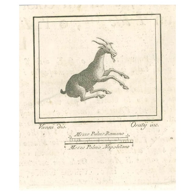 Carlo Oraty, Roman Fresco, Etching, 18th Century For Sale