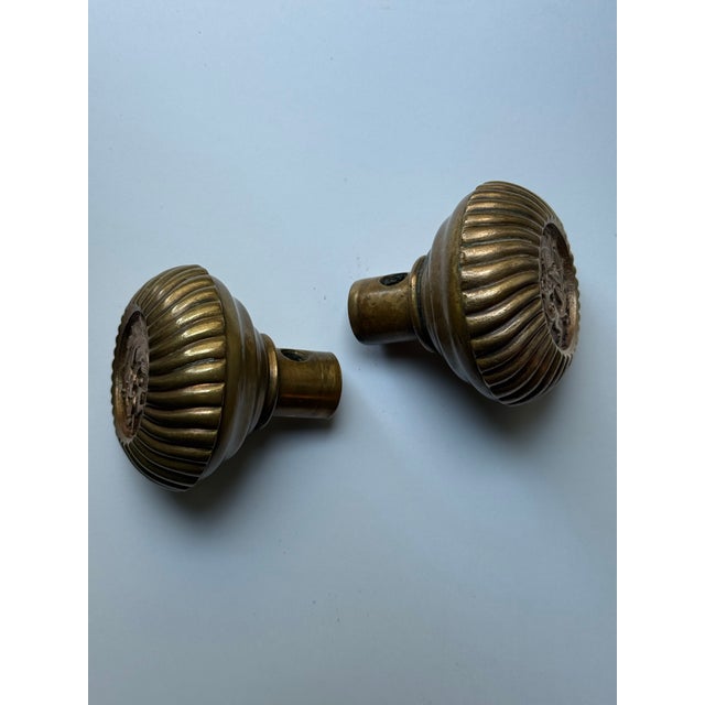 Antique Bronze American Empire Fanciful Beast Door Knobs For Sale - Image 4 of 5