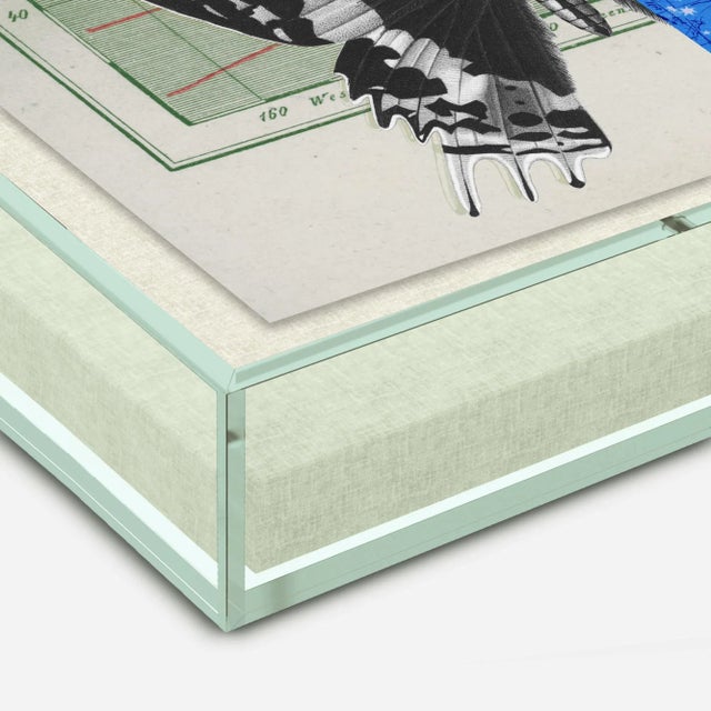 Hovering Wings by Gold Rush Art, Art Print in Light Green Acrylic Frame, Small Overall Size: 18x24 Frame Color: Light...